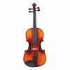 Antoni Debut Violin Outfit 3/4 Size ACV31