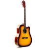 Unistar Hs-4111-3Ts Acoustic Guitar