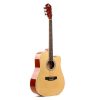Unistar Hs-4111 Natural Acoustic Guitar