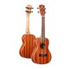 Unistar WD-24THX Premium 24" Ukulele with Bag