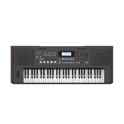 Roland arranger keyboard E-X50