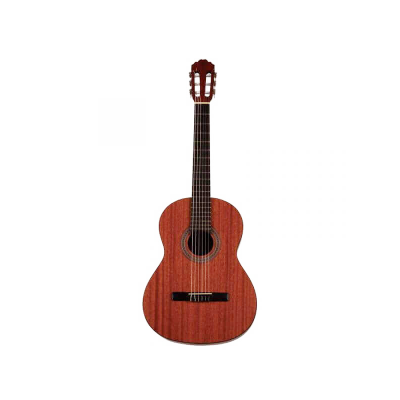 Samick Cn-1Ns / Classic Guitar