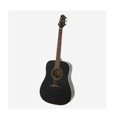 Samick D-2-BK Greg Bennett Acoustic Guitar