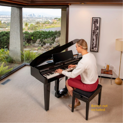 Roland GP-3 Digital Piano