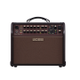 Boss Acoustic Singer Live Acoustic Amplifier